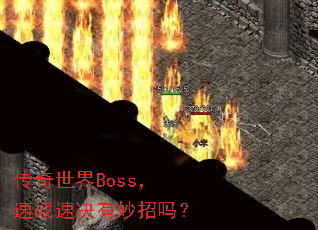 ��������Boss����ս�پ���������