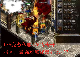 176��̬˽��176���濪��������ǿ�����ؼ��ڴ���