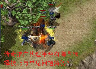 �����ƹ����ƽ̨����Щѡ�����볣��������