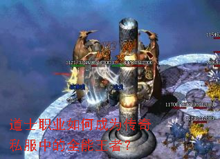 ��ʿְҵ��γ�Ϊ����˽���е�ȫ�����ߣ�