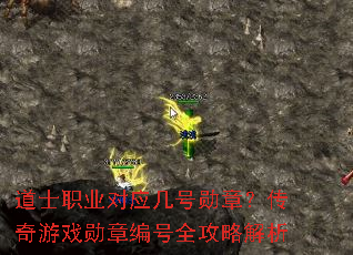 ��ʿְҵ��Ӧ����ѫ�£�������Ϸѫ�±��ȫ���Խ���