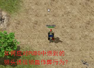���Ӧ��PUBG����������ͷ͸����Ѫ������Ϊ��