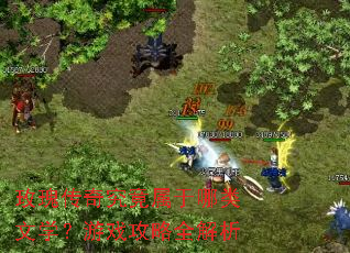õ�崫�澿������������ѧ����Ϸ����ȫ����