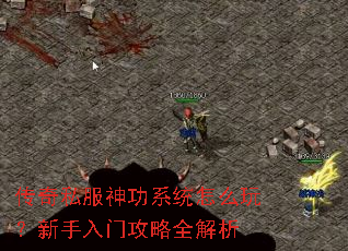 ����˽����ϵͳ��ô�棿�������Ź���ȫ����