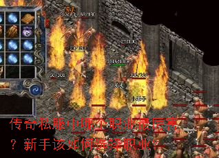 ����˽�����ĸ�ְҵ�����������ָ����ѡ��ְҵ��