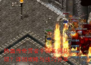 ��Ѫ��������������λ�ȡ����ϸ�����뼼�ɷ���