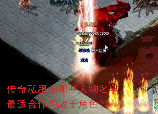 ����˽������Щ�����������ʺ���Ϊսʿ��ɫ��