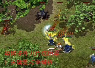 ���������Ƭ�ɹ��ʣ��ؼ�Ҫ��ȫ����