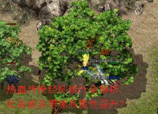 ��Ѫ���澭������ȫ����������ܻ����Щ����������
