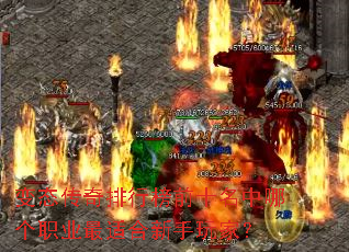 ��̬�������а�ǰʮ�����ĸ�ְҵ���ʺ�������ң�