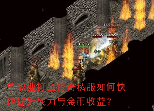 ��ְҵ�����˽����ο�������ս���������棿