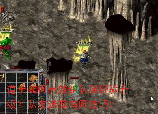 ��ʿ��θ�Ч��ӻ쾭������������ѡ���кμ��ɣ�