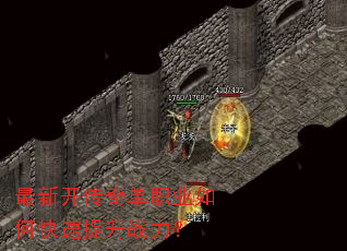 ���¿����浥ְҵ��ο�������ս����