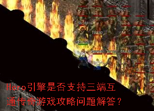 Hero�����Ƿ�֧�����˻�ͨ������Ϸ����������