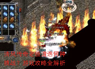 ��紫���ϰ�����������ս����Ϸ����ȫ����