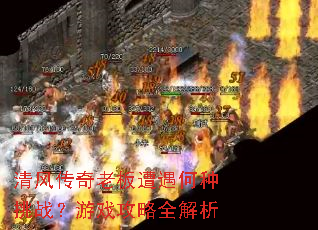 ��紫���ϰ�����������ս����Ϸ����ȫ����